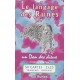 le-langage-des-runes