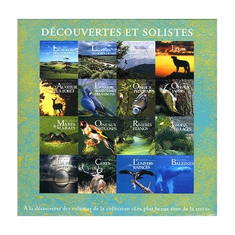 decouvertes-et-solistes