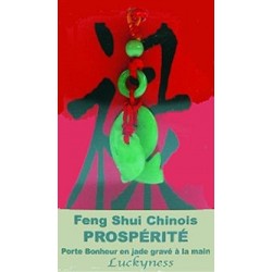 Porte-Bonheur Feng Shui - Prospérité