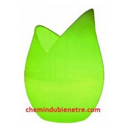 Fontaine d’Arôme Fleur – Diffuseur d’Huiles Essentielles