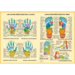 planche-zone-reflexe-main-pied