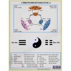 Planche Méridiens Chronobioenergetica