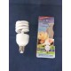 Ampoule Eclairpur 24w